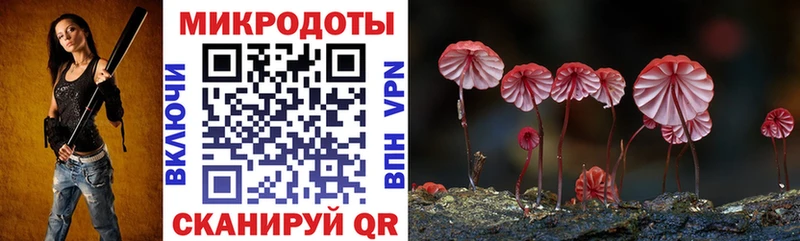Псилоцибиновые грибы прущие грибы  хочу наркоту  Грайворон 